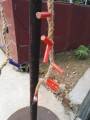IMG_20160411_093629.jpg
